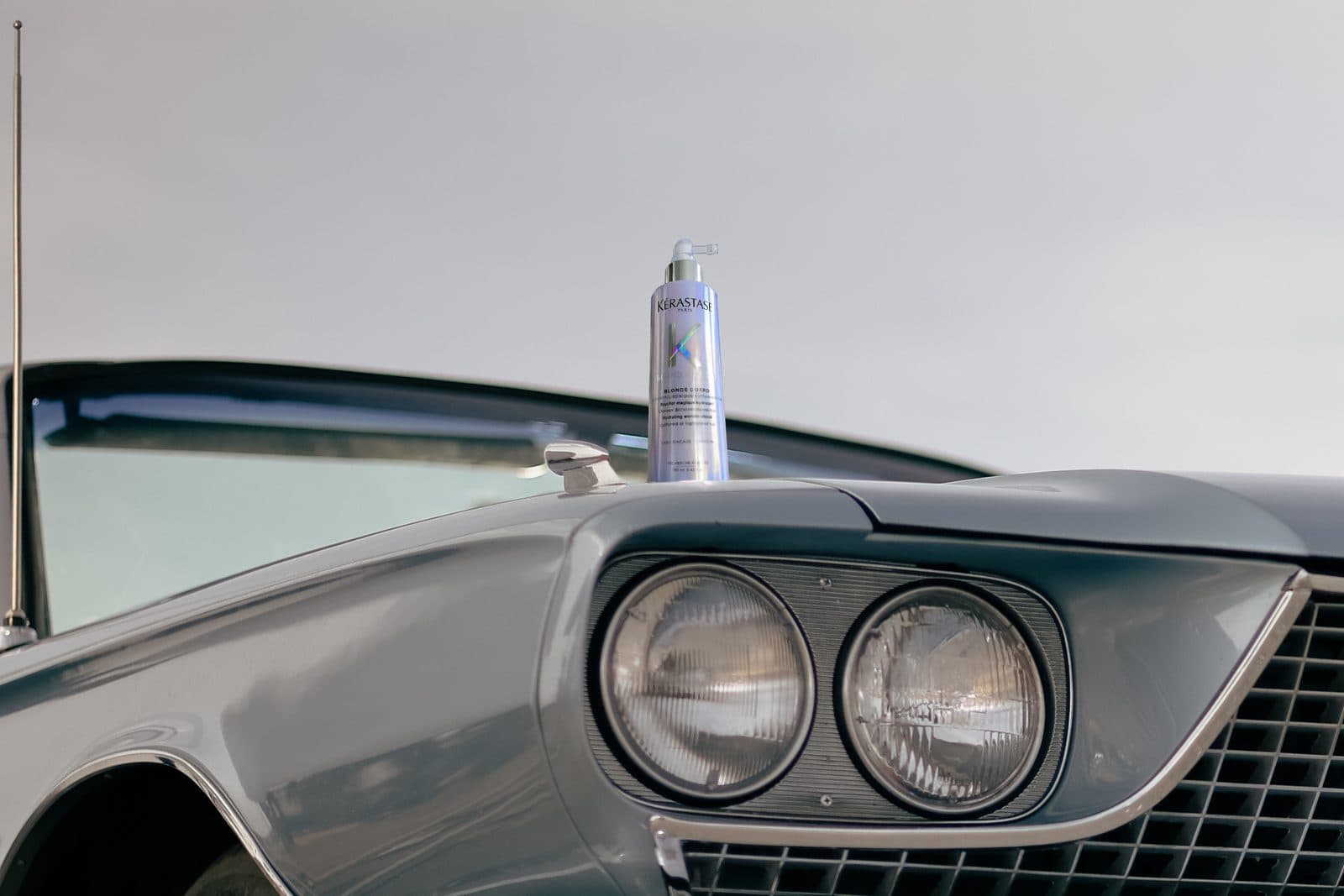 Blond Absolu — Blonde Guard
